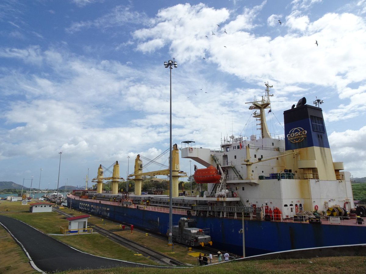 perchancetoroam's tweet photo. On our second day in Panama we explored the Parque Natural Metripolotano, where we saw plenty of wildlife (including tons of coatis), as well as the Miraflores Locks, where we watched ships being lowered during their transit through Panama Canal.

#miraflores #coatis #panama https://t.co/OAE9sdED1Q
