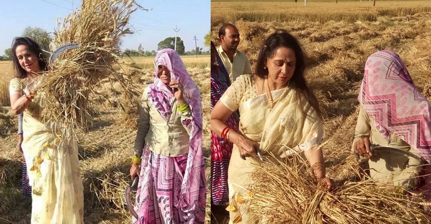 NarundarM's tweet photo. Fake farmers are protesting; real farmers are working on farms. https://t.co/tZXAuaeuYq