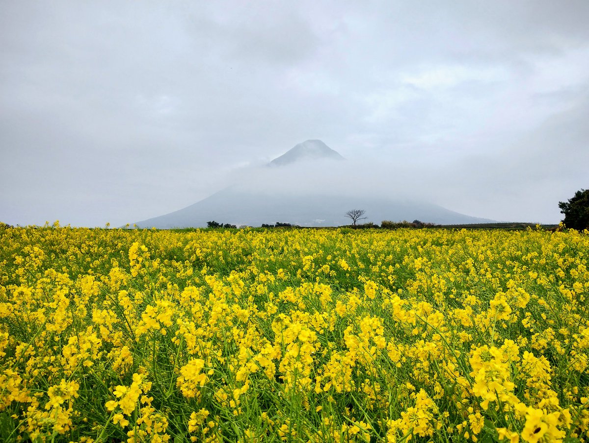 Yuka🇯🇵 tweet media