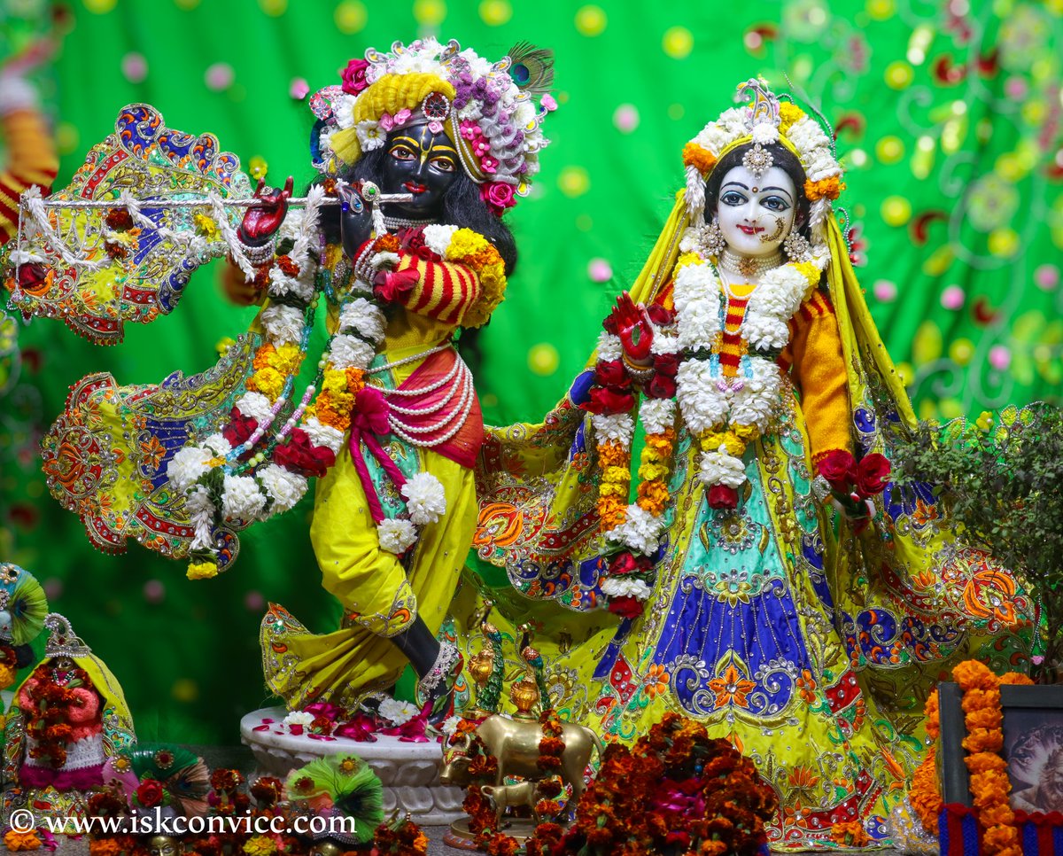 iskconvicc's tweet photo. Śrī Śrī Radha Gopal Darshan - 13/2/2024 @iskconvicc

#iskconvaranasi #iskconvicc #radhagopal #shricharan #gauranitai #prabhupada #dailydarshan #aajkedarshan #yellow #tuesday #tuesdaydarshan #krishnasmile #radheradhe https://t.co/5i3HuZwF7b