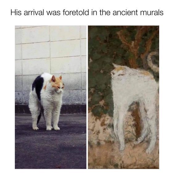 WholesomeMemes (@wholesomememe) on Twitter photo 