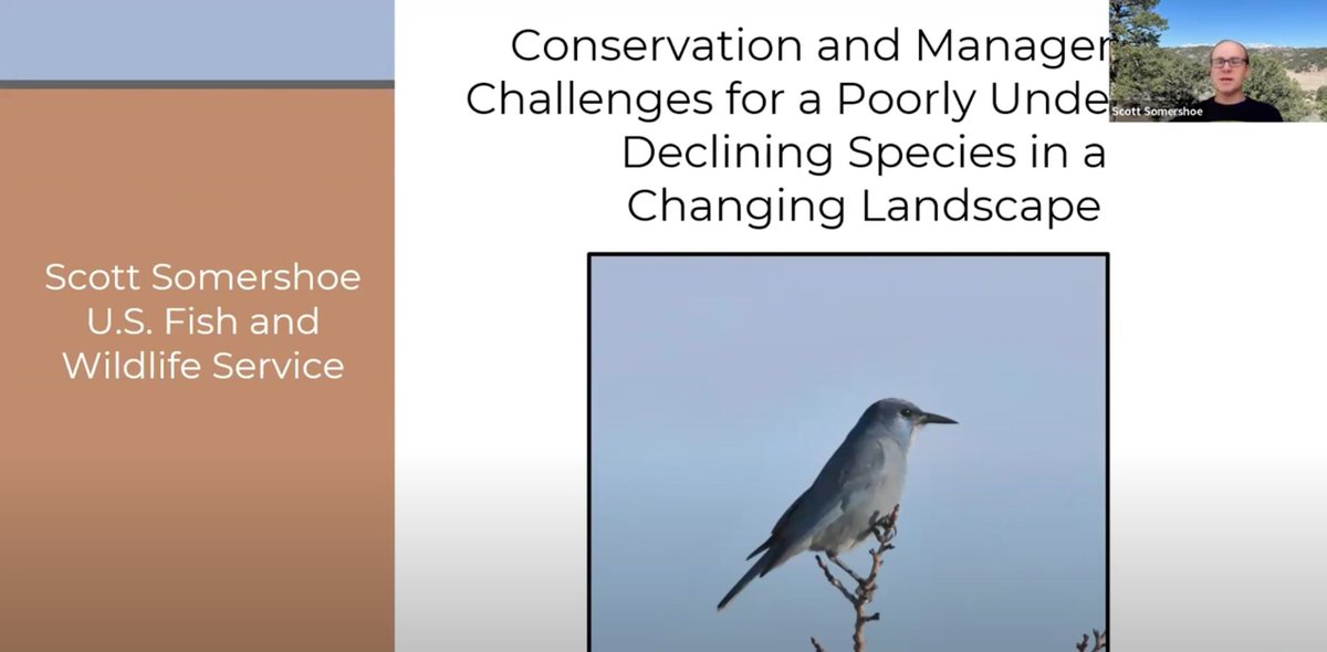 Did you miss the NC CASC webinar from last week? View it on our YouTube channel here: youtube.com/watch?v=Keqxei…

#climate #climatetwitter #webinar #pinyonjays #wildlife