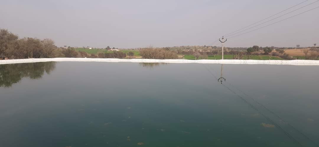 #फार्म_हाऊस पर गेहूँ, जो, जीरा, ईसबगोल की लहलहाती फसले .....
ईश्वर से प्रार्थना मौसम अच्छा रहे...
#जय_जवान_जय_किसान