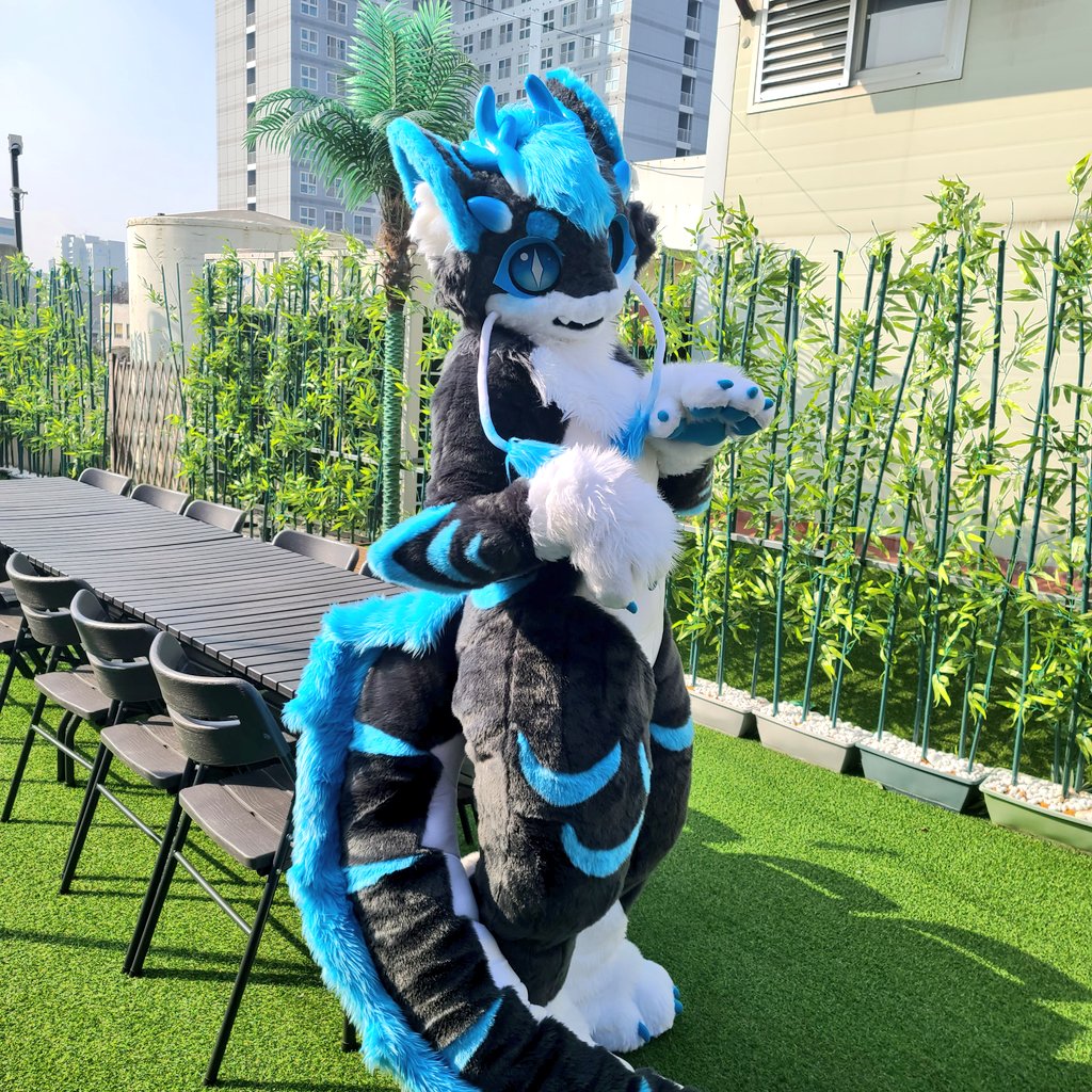 💜Purple Bat Fursuit💜 tweet media