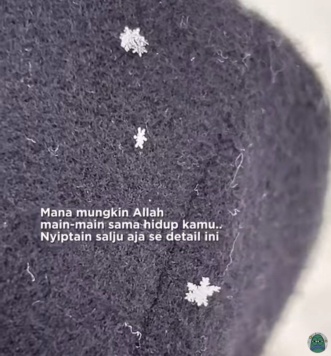 Tanyarlfes tweet media