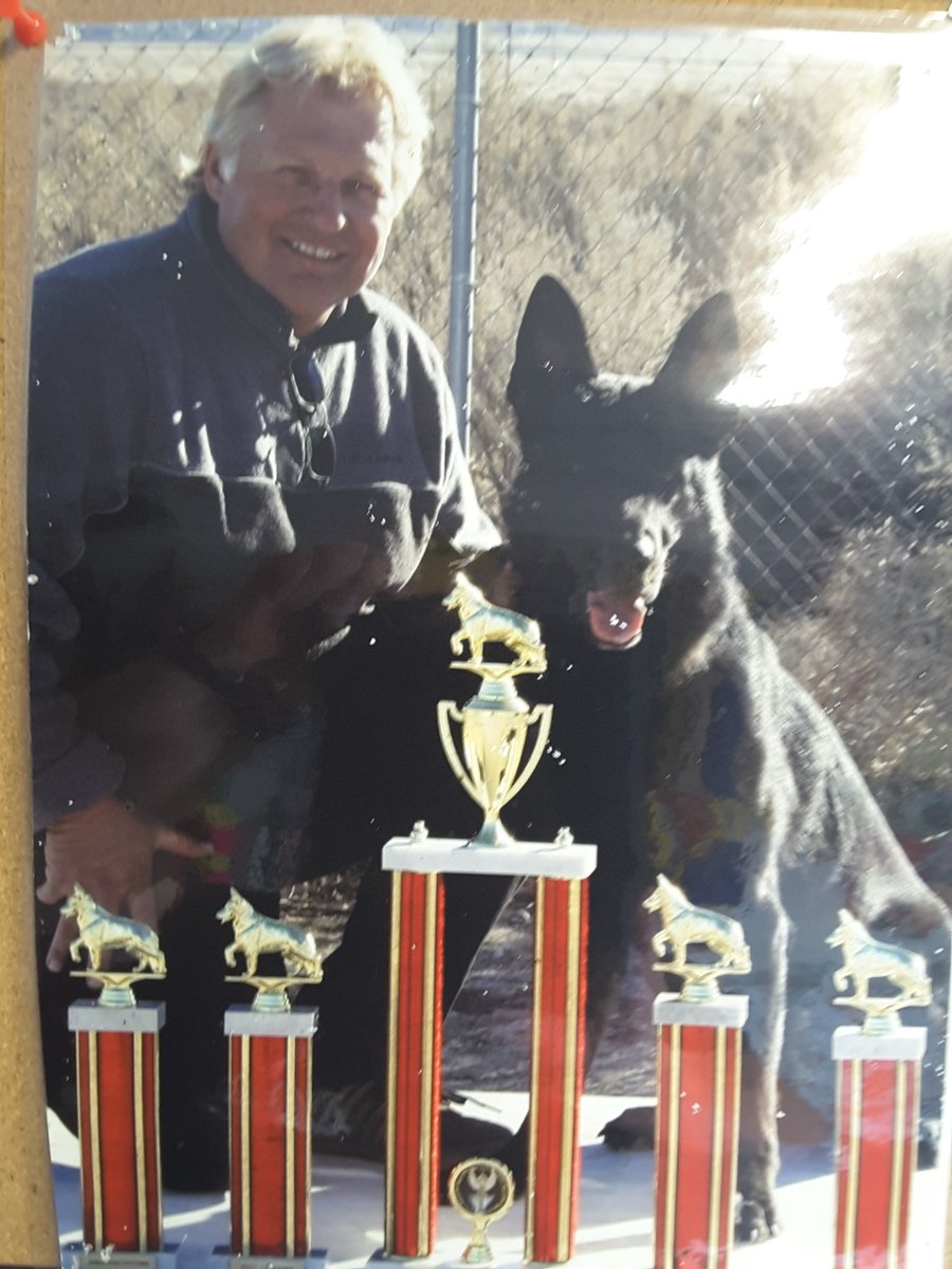 wolfgangk9train's tweet photo. https://t.co/IlQPwqbEfd