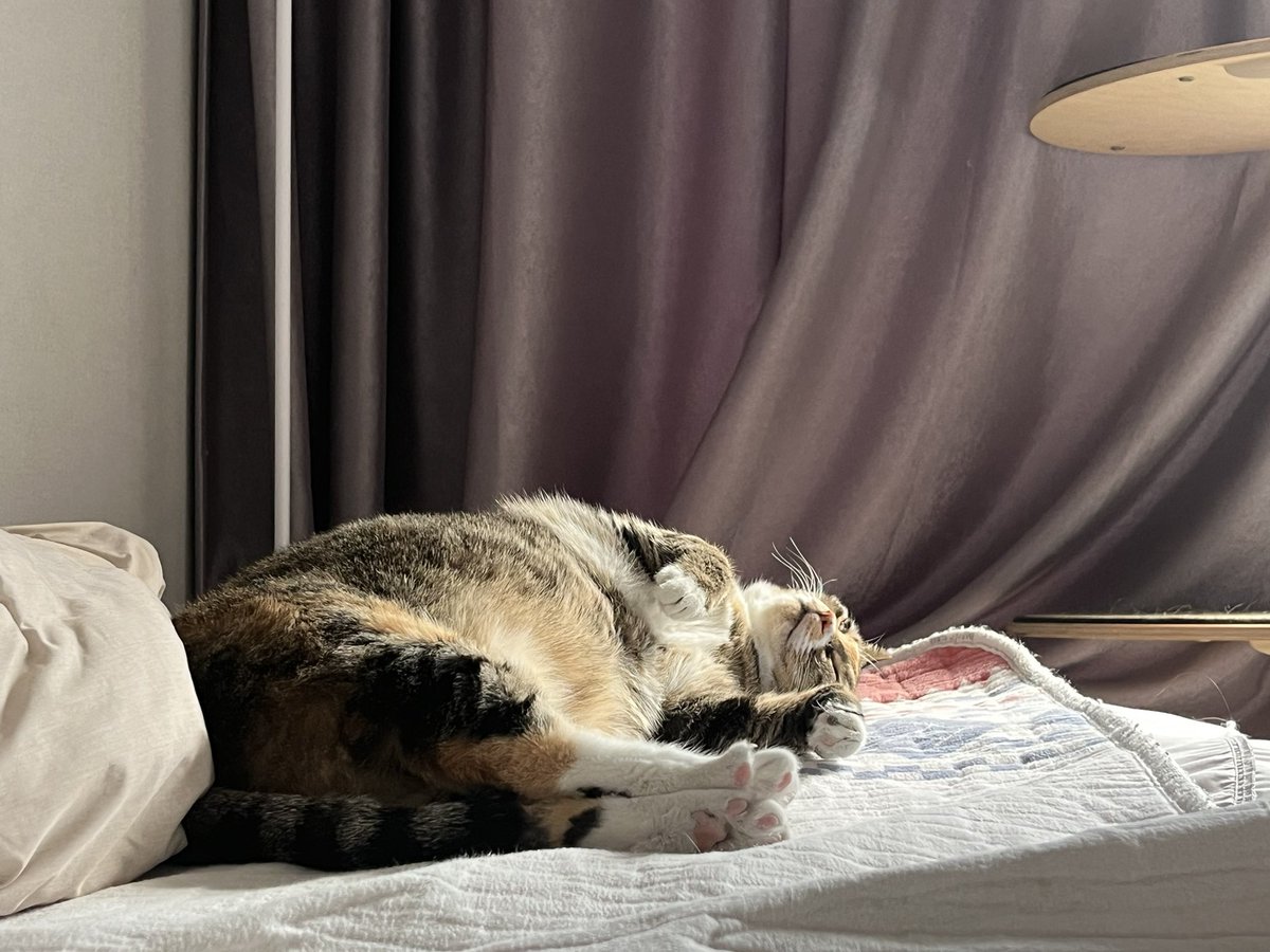 🐈덕진일보🐈 (@dailyduckjin) on Twitter photo 