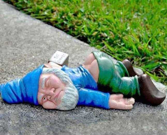 New to garden suppliers in the ACT only (rolling out to other states later) the #Barnaby Gnome.