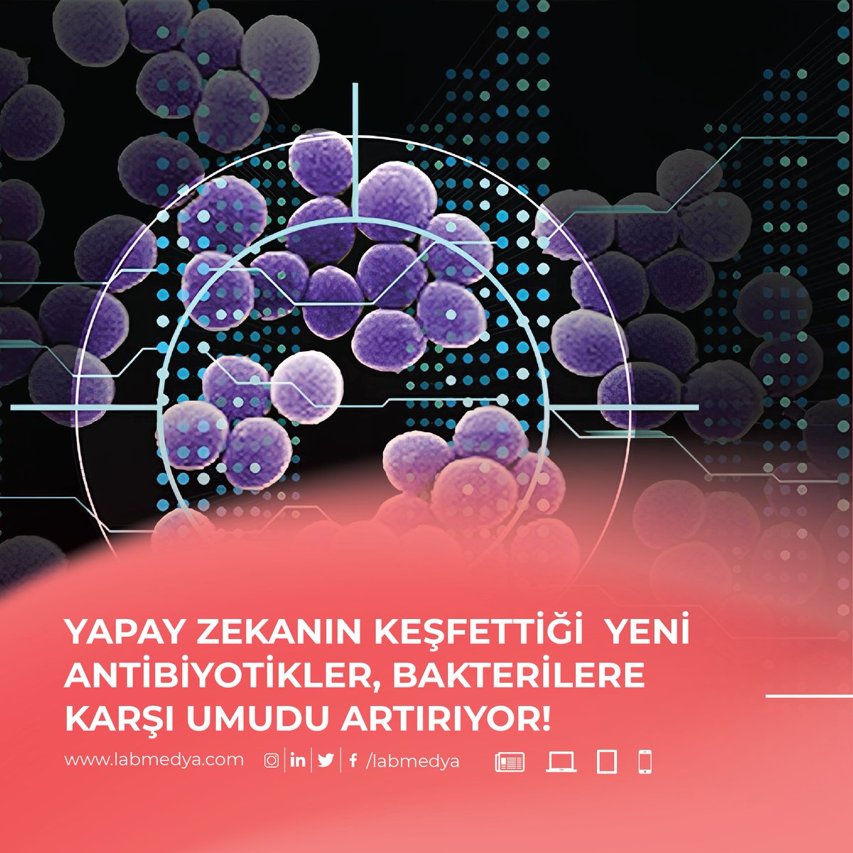 labmedya's tweet photo. MIT araştırmacıları, yapay zeka kullanarak metisilin dirençli Staphylococcus aureus (MRSA) ile mücadelede yeni bir antibiyotik sınıfı keşfetti!
Detaylar için
Haber: https://t.co/qqIRhihTe3
#MRSA #AntibiyotikKeşfi #YapayZeka #SağlıkTeknolojisi #labmedya https://t.co/DThE9g6iol