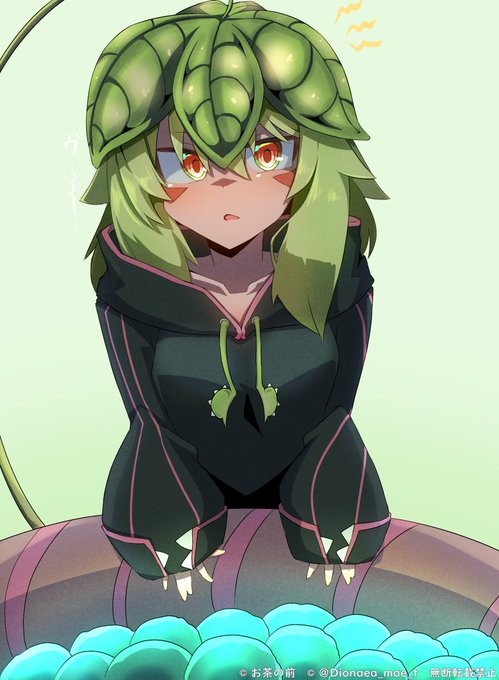 ほぼ毎日うちの子                     
527枚目 ディオネさん

ディオネさんの鉢に上がったら不満な顔をされた 