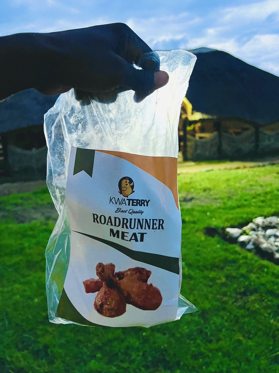 terrymap1's tweet photo. Good morning Fam. I sell dressed and packed Roadrunner Chickens $10 and I deliver in Harare every Wednesday. If you want to order kindly app or text 0777457868😊🙏🏿

Kindly RT https://t.co/f4s00mvvV7