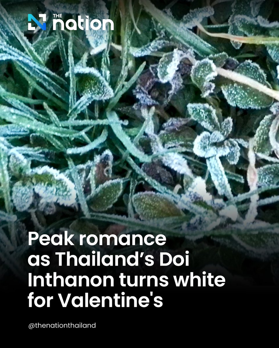 Thailand witnessed its 18th hoarfrost of the cold season on Tuesday as the temperature on its highest mountain, Doi Inthanon in Chiang Mai province, dropped to 6 degrees Centigrade.
.
Read more:
nationthailand.com/thailand/touri…
.
#DoiInthanon #tourism #ChiangMai #frost #coldseason