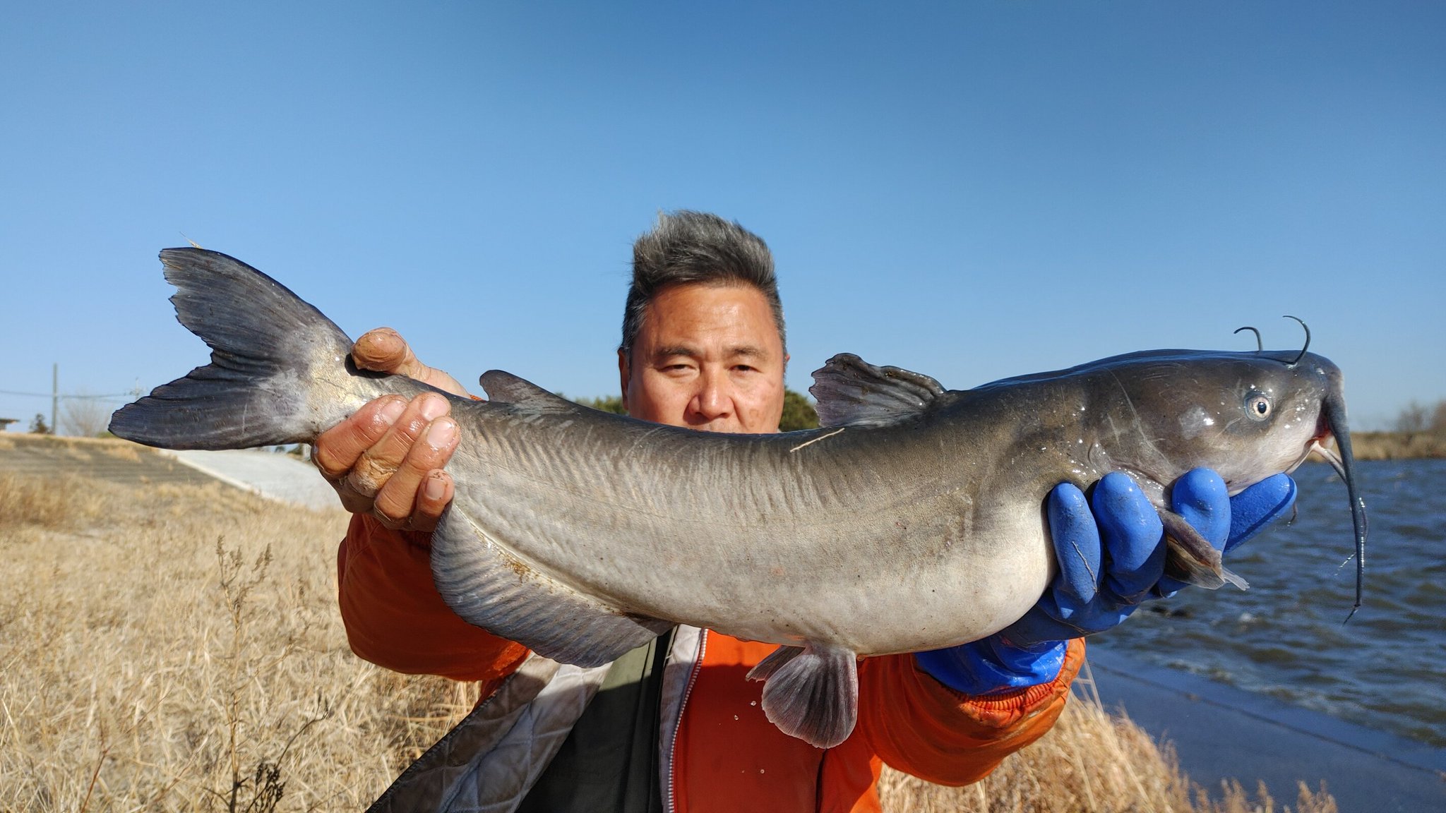 アメリカナマズ釣り霞ヶ浦なまず調査団オリジナル魔王釣り座　超魔王なまず　竿たて　　ルアーロッド　遠投竿　キャスティングロッド アメリカナマズ釣り霞ヶ浦なまず調査団オリジナル魔王釣り座( ノ