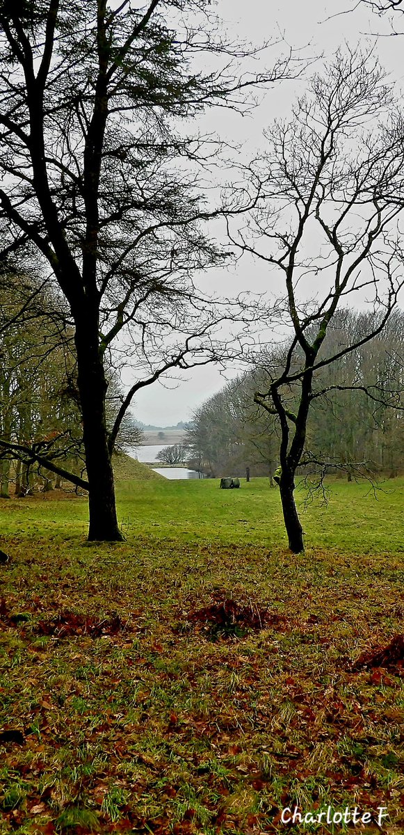 Charlotte tweet media