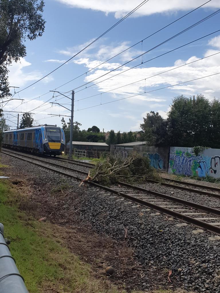ajft's tweet image. Tree down #Pakenhamline in Hughesdale #ptv