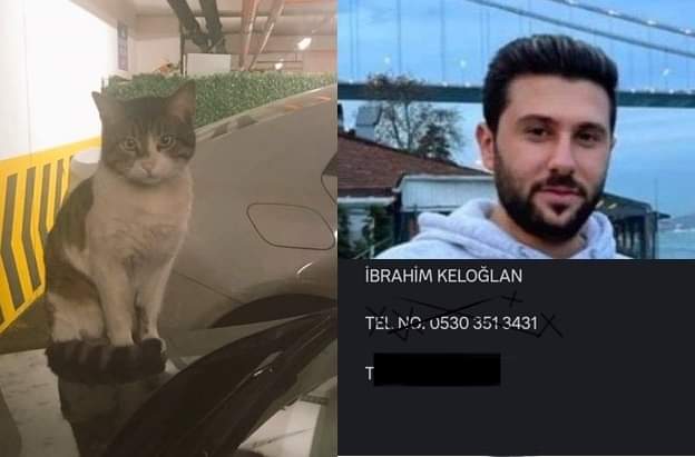 MERCANGLER's tweet photo. Ne güzel dimi bu ülkede bir hayvanı canice öldürüp elinizi kolunuzu sallayarak sokaklara dönebiliyorsunuz..
Iyi halden indirim yapıp bu caniyi serbest bırakan sayın büyüklerimiz vicdan
Hergün canlı cinayeti  hergün bir vahşet
Bıktık artık
#ibrahimkeloğlantutuklansın https://t.co/Pn8EE9gAsU