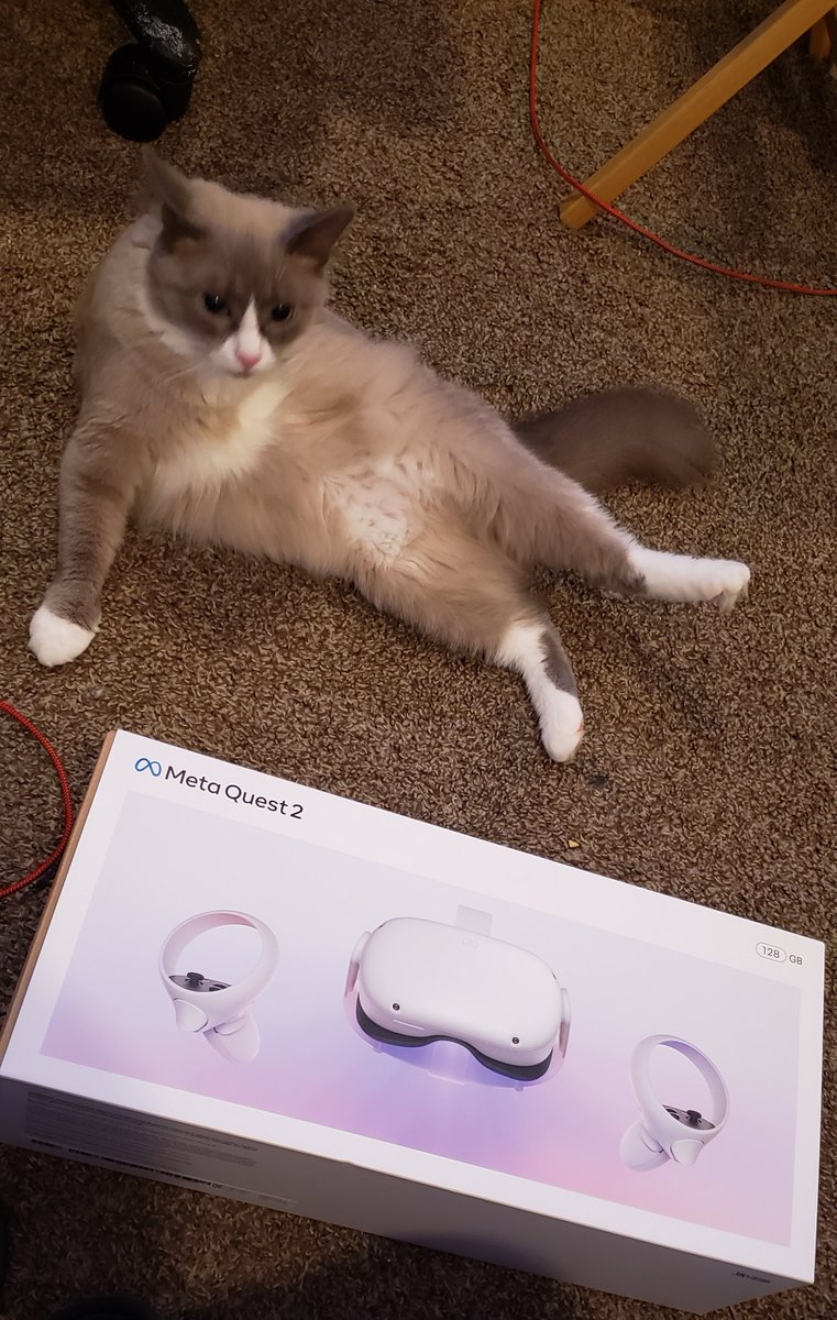 sparkworldtech's tweet photo. Fluffy Cat: "Hey what that you got there?
SparkWorldTech: Meta Quest 2 ๐ฎ
Fluffy Cat: (Sits Up), Plug me in Coach ๐ธ @MetaQuestVR #meta #metaquest #metaquest2 #metaquestvr #techintothefuture #sparkworld #sparkworldglobal #sparkworldtech ๐ฅ๐๐ซ https://t.co/PSvGpGPCZu