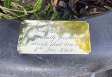 sallymcmanus's tweet photo. Can anyone confirm that the good people of Canberra have done this to mark the planterbox Barnaby Joyce fell from? https://t.co/v6DlJwlXm5