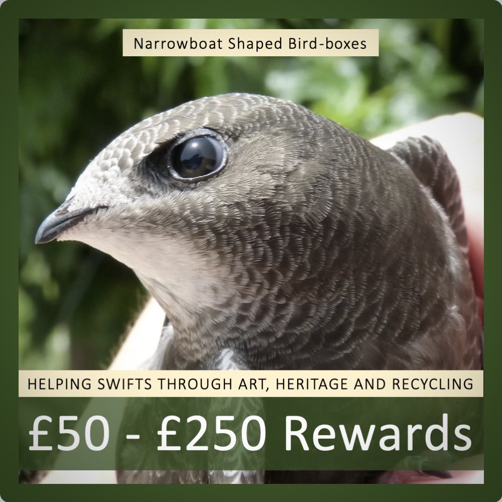 🙏Could you give us a retweet? ♻️Thanks to @AvivaUK, our @ProjFromPallets CIC has a NEW crowdfunder making Swift Nest Boxes in the design of canal barges. Hoping to get small donations to deliver workshops locally & across the UK. Visit: avivacommunityfund.co.uk/p/swift-busine…