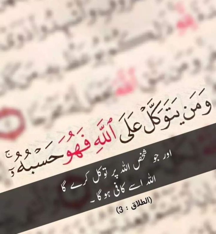 hina_hun's tweet photo. #Banigala https://t.co/huuqQmoyyA
