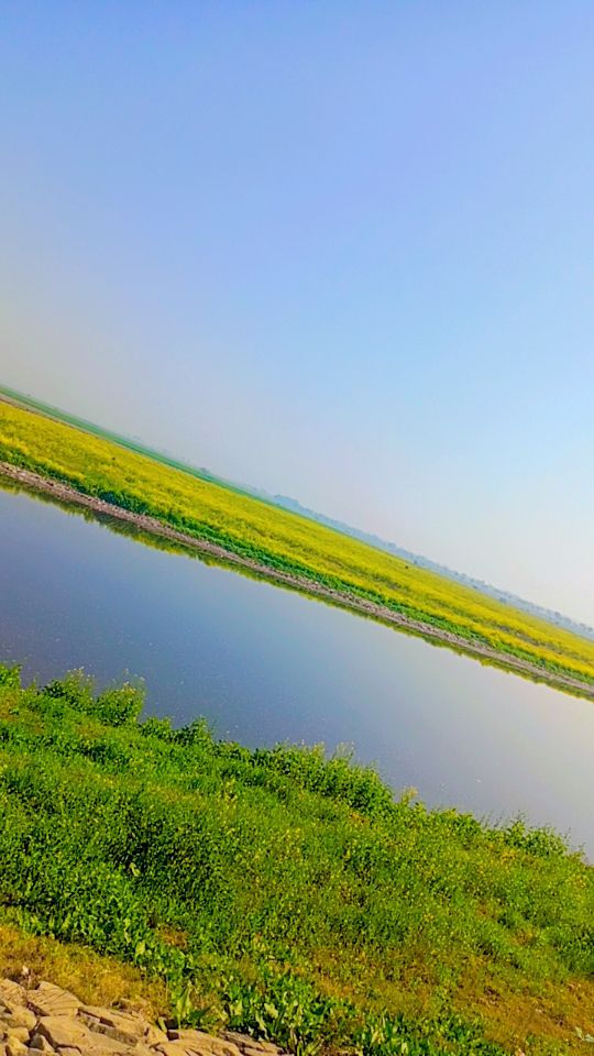 Taimoor Abbas (@taimoor4450) on Twitter photo 