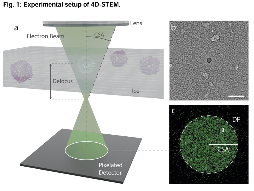 Kelvin Lau 🧬🧪💎 tweet media