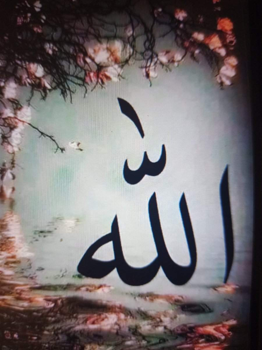 Assalam o alaikum
Good morning 🌅
.
Feeling better today ❤️☺️
Alhamdulillah.