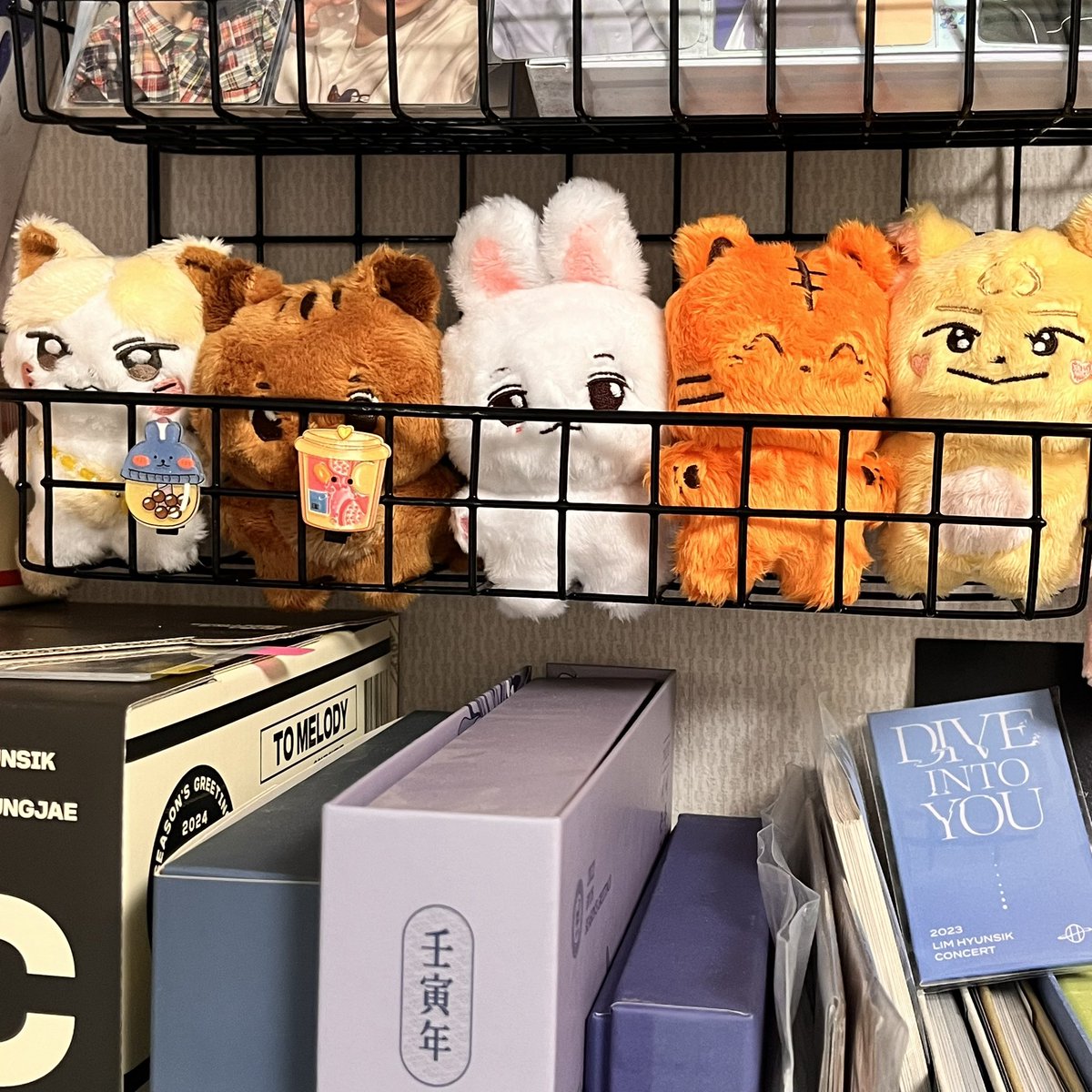 귀여운 람찌랑 토섭이가 집에 도착했어요😭

이제 쁘범만 오면 육투비 완성💙

<a href="/somTOB_0321/">솜투비 시즌2🍀</a> #솜투비와_솜솜한_일상