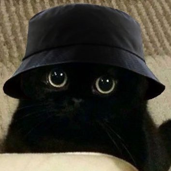 jayseongcorn's tweet photo. jjongcat of the day 🎩

#제이 #엔하이픈_제이 #ENHYPEN_JAY https://t.co/lSFYxWWNnE