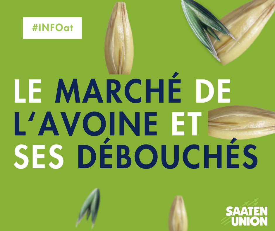SaatenUnionFr's tweet photo. #infOat Les autres débouchés de l'avoine :

🥃Le whisky (en Ecosse et Irlande)
🥛Les jus végétaux et autres boissons à base d'avoine en GSA
🫧 Les produits cosmétiques

➡ Rdv au prochain post pour en savoir + sur ses critères qualité !

💻 Notre gamme : https://t.co/aGH6ihY1c9 https://t.co/ACGbAvXwlD