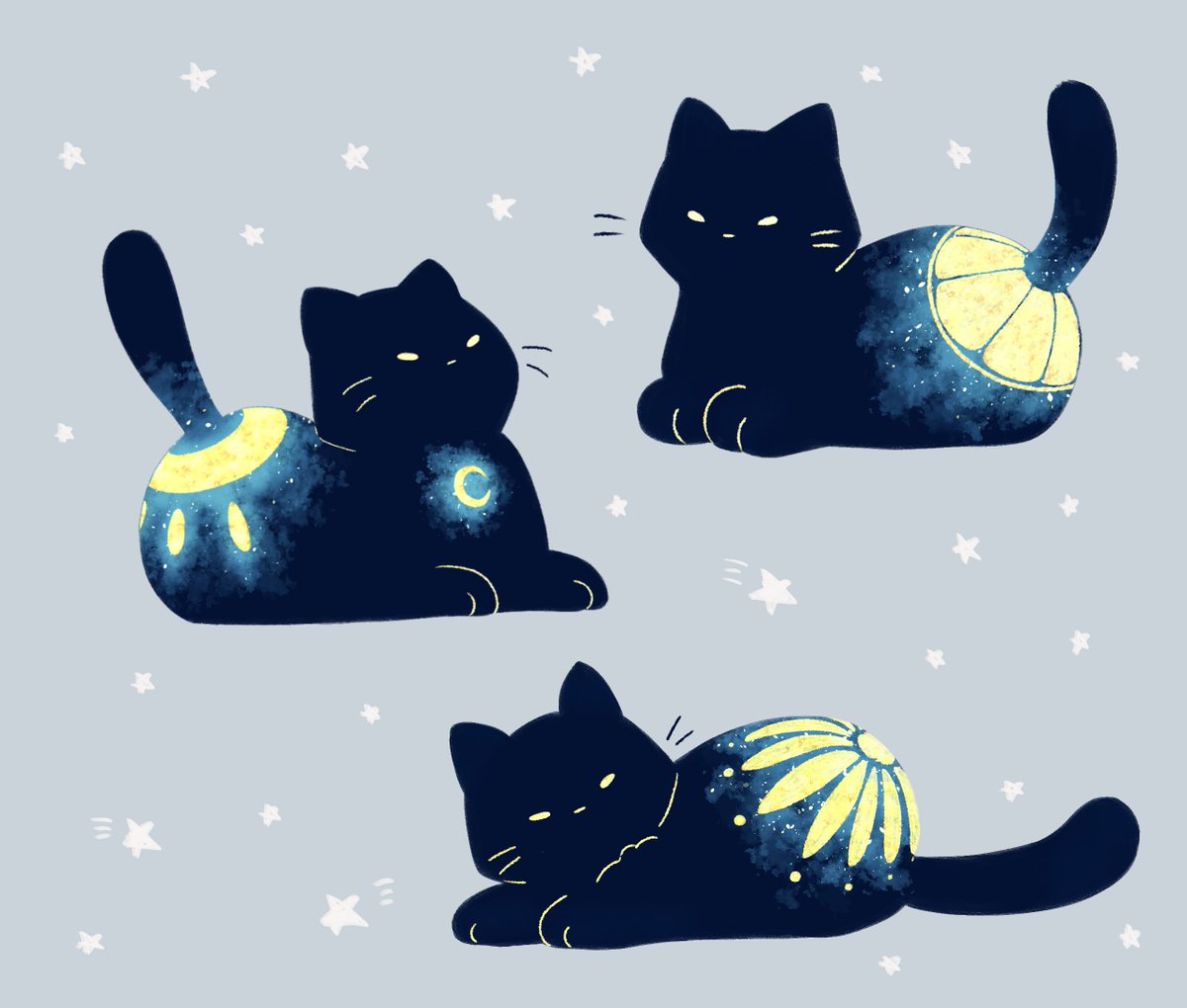 #私をコレで覚えて欲しい
ねこをちょっと光らせたい人✨