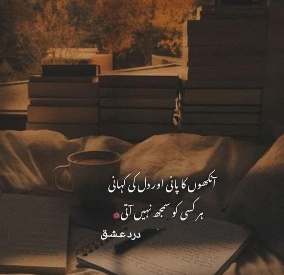 MIR (@mir_hain) on Twitter photo 