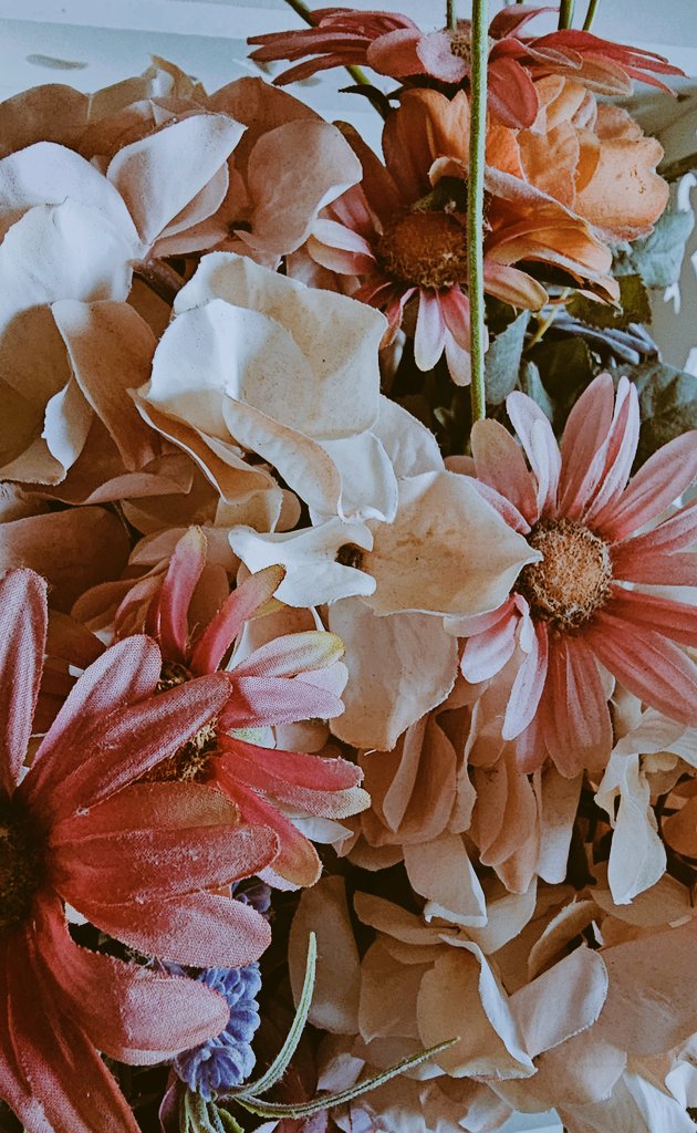 Buongiorno 🌸
Oggi giornata serena quindi tanta carica in più!!
G●●d M●rning X 💐
Caffè e si parte!! ☕️☕️🥐
#13febbraio #13Feb #GoodMorningEveryone #GoodMorningX #goodmorning #BuongiornoATutti #Flowers