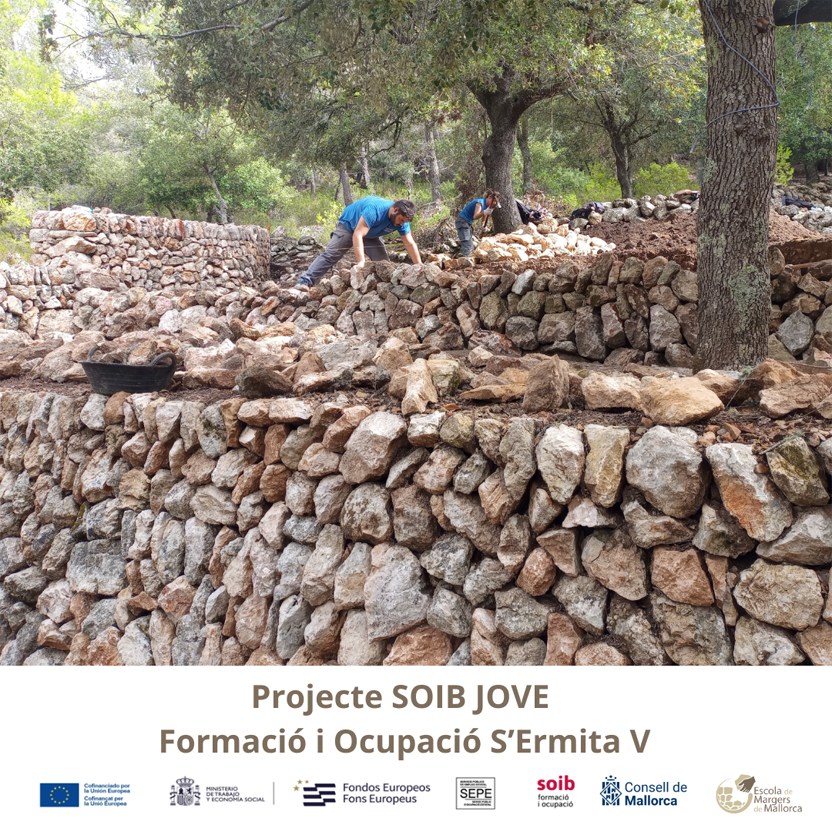 PedraSenderisme's tweet photo. Nou projecte de formació dual de Peó Forestal i Marger per a persones desocupades entre 18 i 29 anys, a la finca de Son Amer.
Més informació a: https://t.co/VEw4903l1t
Inscripcions a: https://t.co/3xqNDbdytS https://t.co/GEocL6gLIx