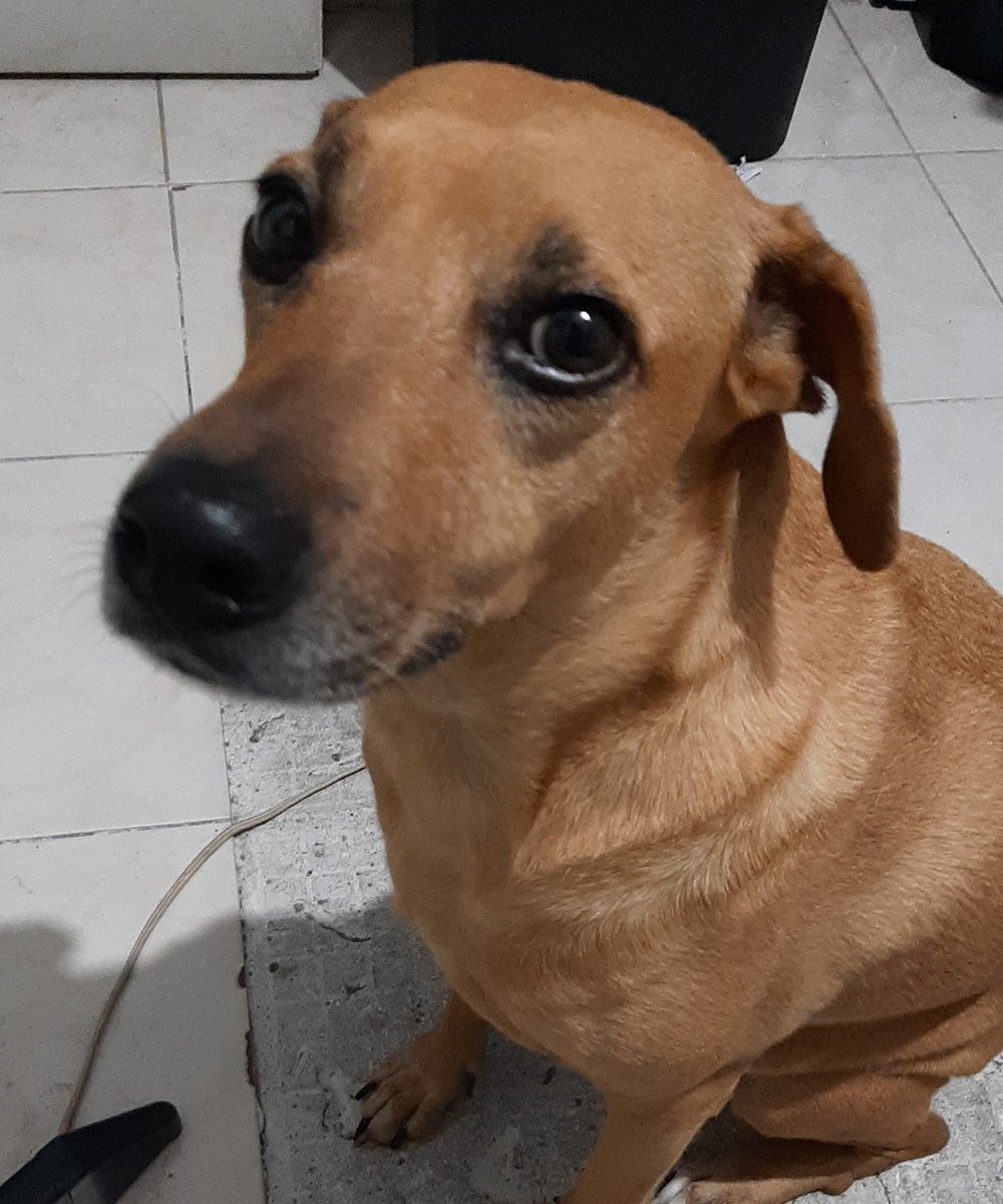 otrafanny_'s tweet image. ando bien productiva estos días, pero hay tantas cosas q quiero hacer q me pongo a pensar tantito y me agüito