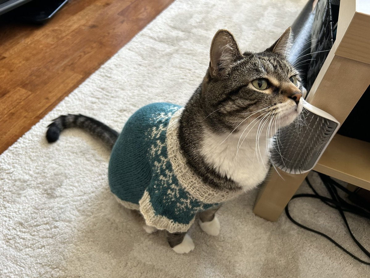 Sporty_TL's tweet photo. A homemade Icelandic sweater for this cutie! https://t.co/cCZOAVcwLm