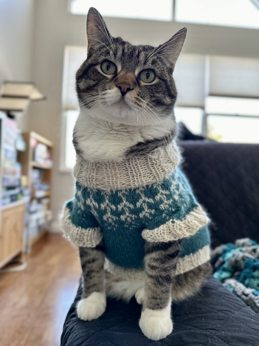 Sporty_TL's tweet photo. A homemade Icelandic sweater for this cutie! https://t.co/cCZOAVcwLm