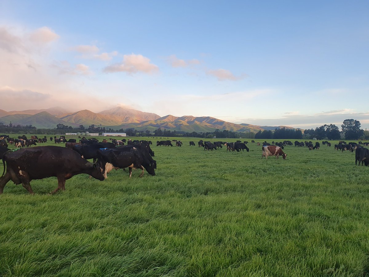 Ben Brown tweet media