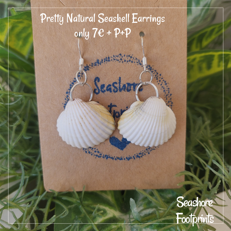 Handmade, unique seashells make beautiful earrings!! 🌊 😍 🌟

Every shell is different with its own contours and scars, carved & smoothed by the ocean waves, much like our own lives!!

#beachjewelry #shelljewelry #shellearrings #uniqueshells  #mhhsbd

wix.to/ExwIuGL