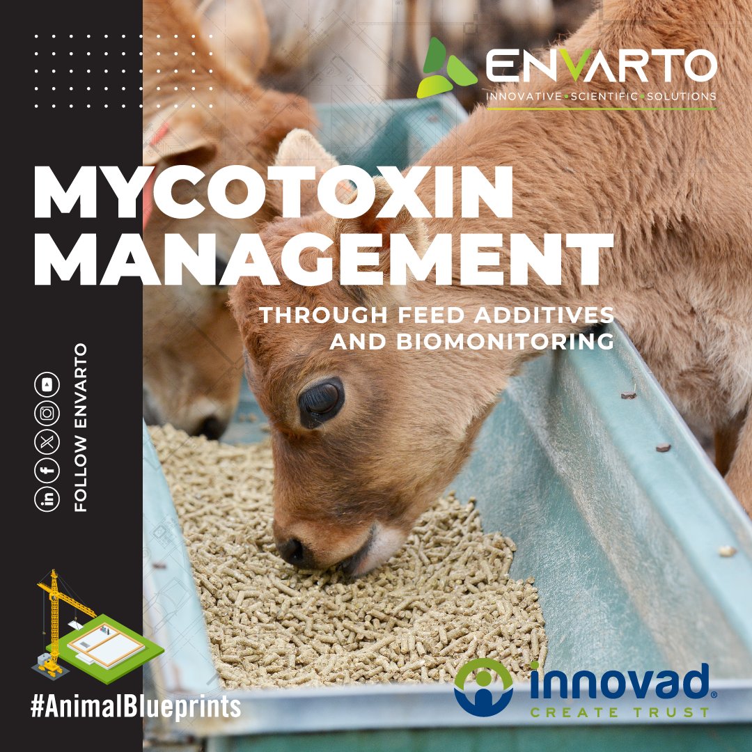 envarto's tweet image. Mycotoxin management through feed additives and biomonitoring – contact an ENVARTO agent in your area or:

💁🏻‍♂️ Albert van Rensburg
📞 083 409 5315
📧 albert@envarto.co.za

#AnimalHealth #AnimalNutrition #MycotoxinManagement #Biomonitoring

@Innovadsa