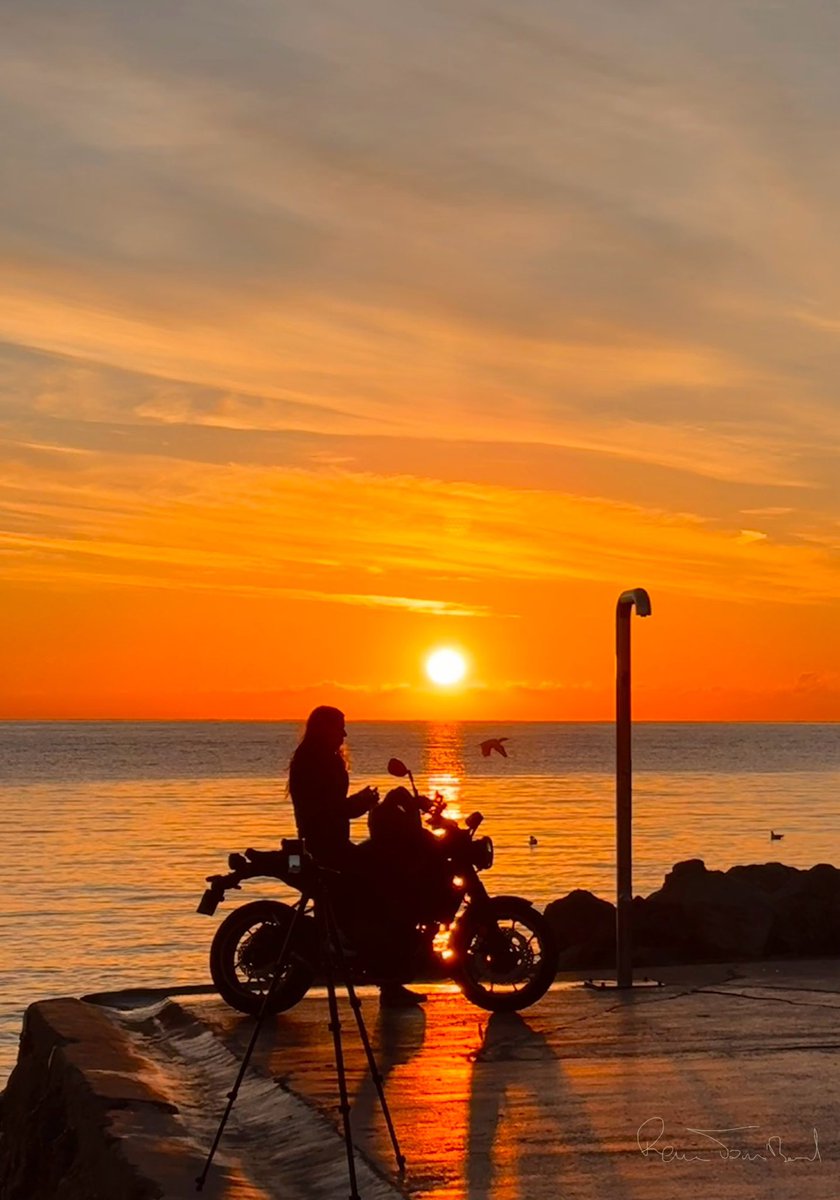 tombarel rené tweet media