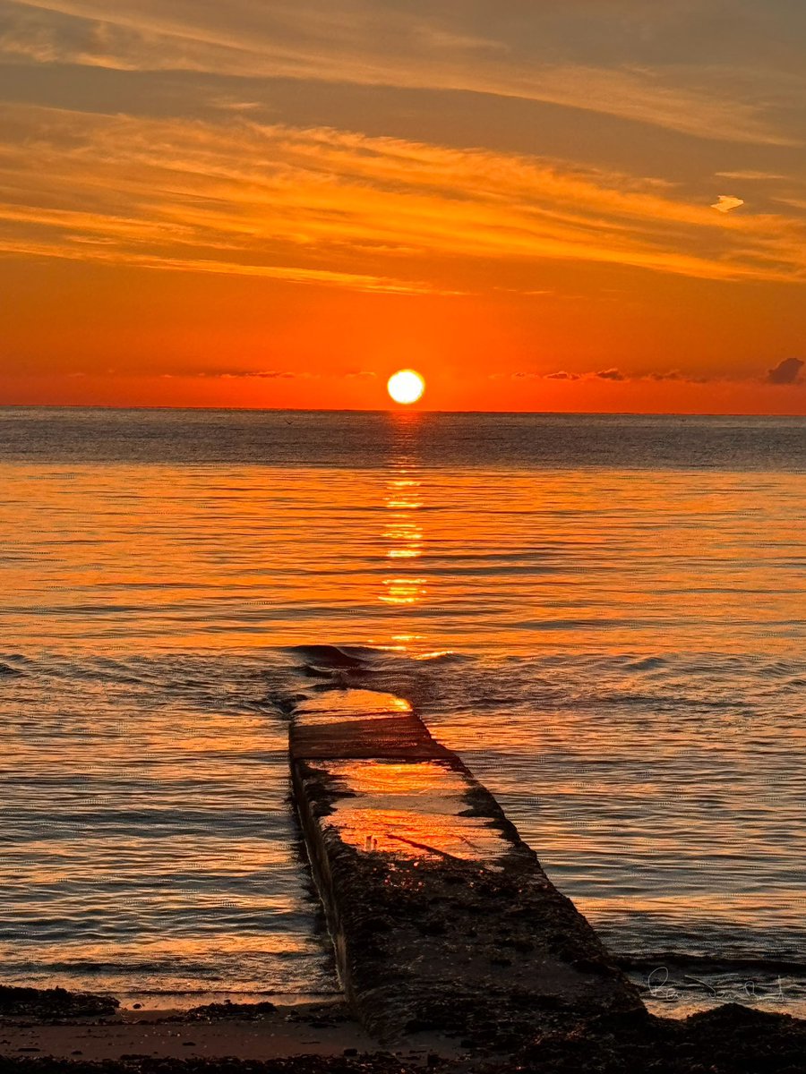 tombarel rené tweet media