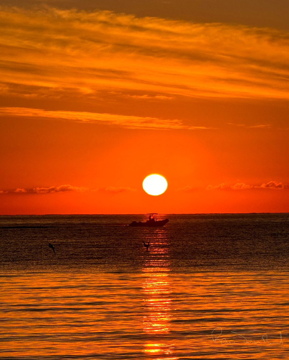 Un magnifique lever de soleil ce matin. Vous avez une préférence ? #cannes #CotedAzurFrance <a href="/VisitCotedazur/">Côte d'Azur France</a> <a href="/villecannes/">Cannes</a> <a href="/Cannes_France/">Cannes, France</a>