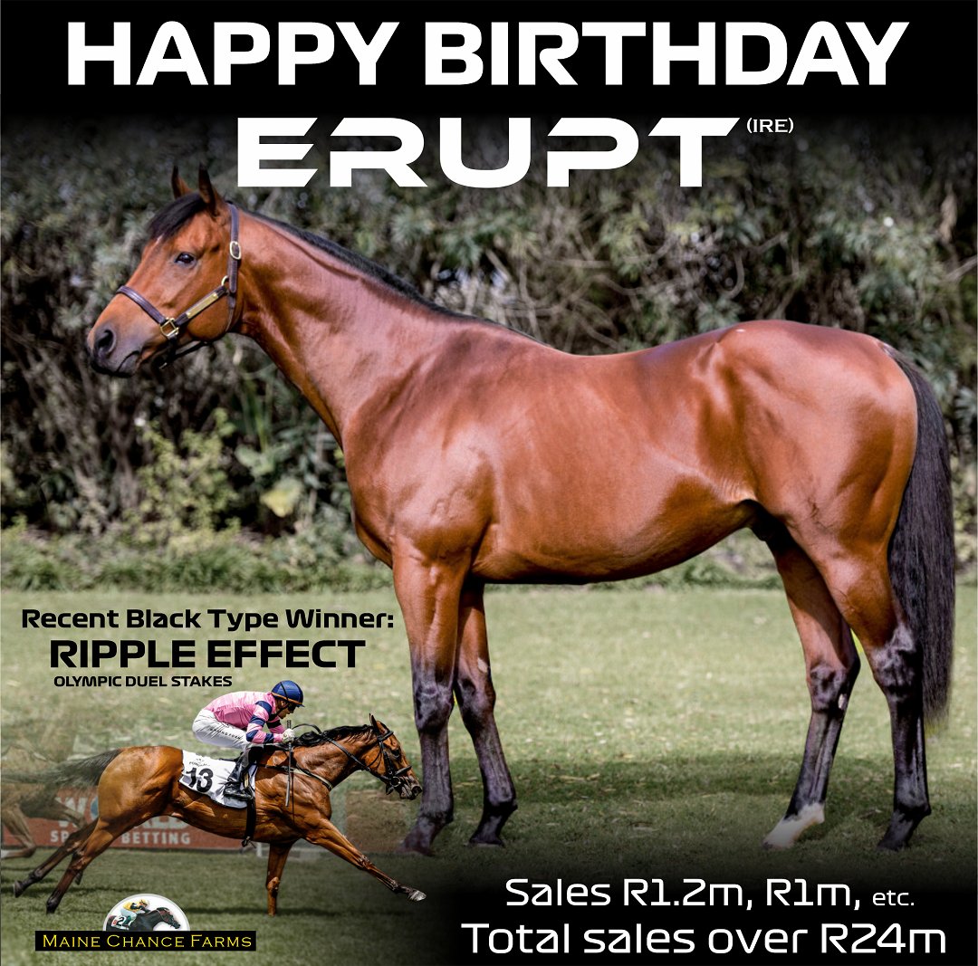 BLACKTYPENFT's tweet photo. Happy Birthday Erupt!

@MaineChanceFarm https://t.co/HUvVFv17xZ