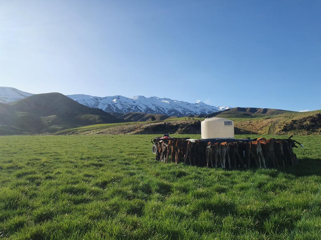 Ben Brown tweet media