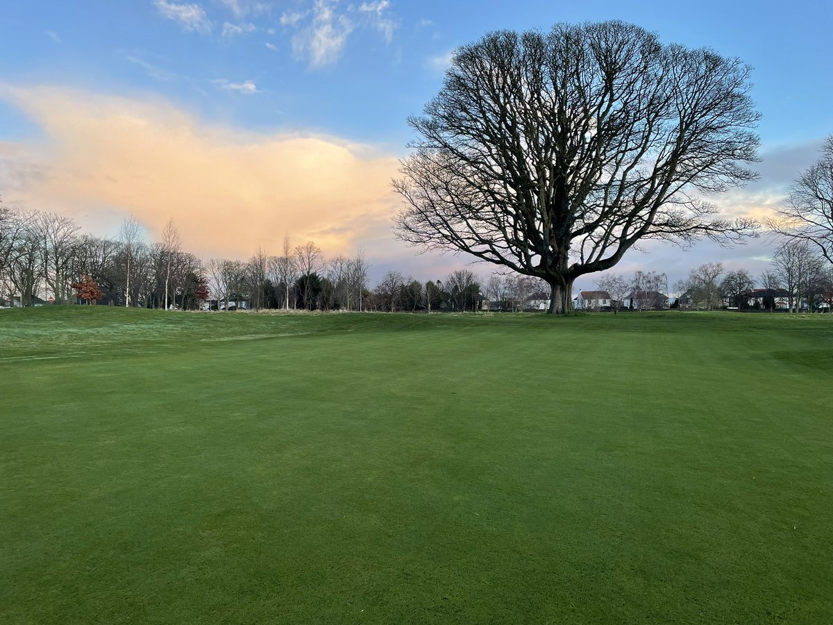 Sarrel rollers out on the putting surfaces. Happy with how the greens are looking. Healthy & uniformed with our application of nutri smart 4-0-10+11%FE kicking in 🌱🌱 @GreenTekGroup @Aitkens_turf @GavinSpeedie
