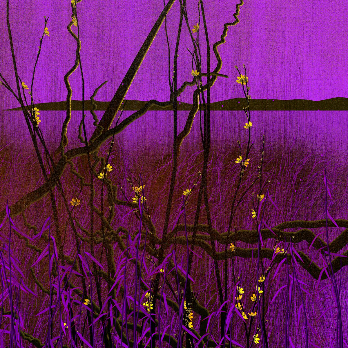 Bajiru 🍃 tweet media