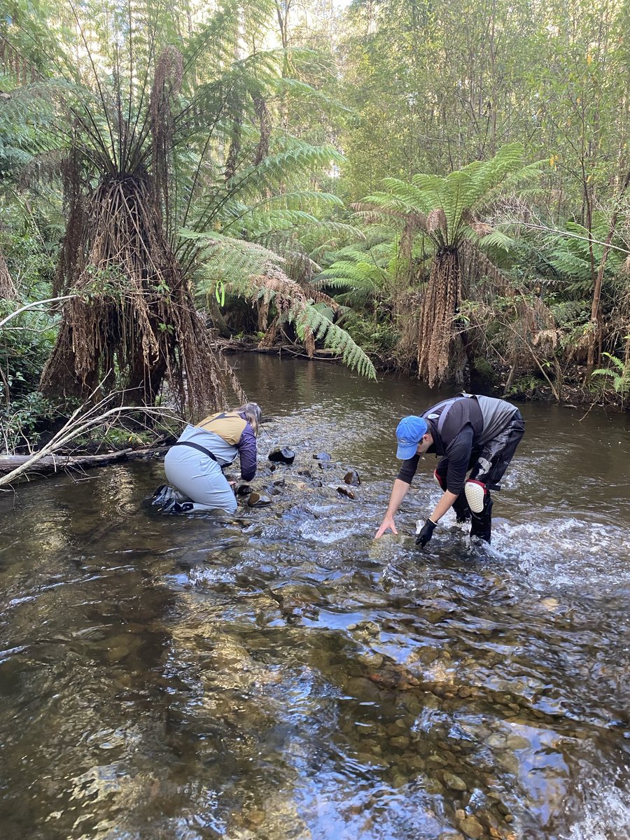 Great to be out in the field on International day of women and girls in science ⁦@deakinresearch⁩ ⁦@DeakinSEBE⁩