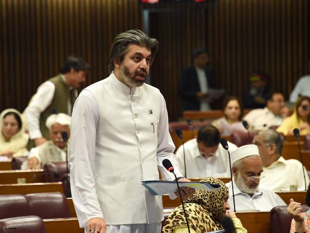 Ali Muhammad Khan is PTI's candidate for Prime Minister of Pakistan 🦁🔥🔥

#ElectionResults #Elections2024
