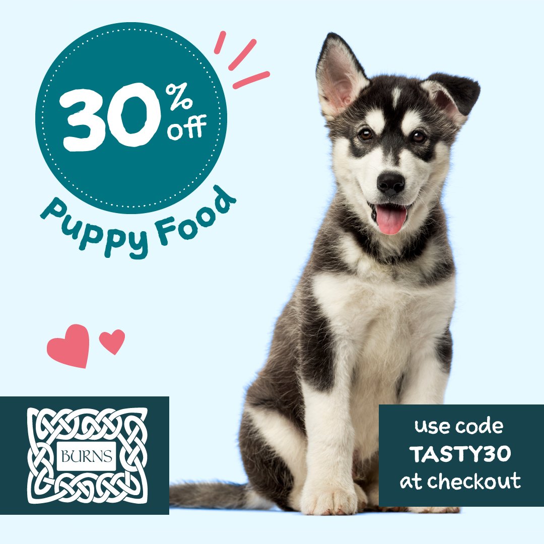 All the goodness a young pup needs, now with 30% off! Help them put their best paw forward with our range of natural puppy food. Use code TASTY30 at checkout. burnspet.co.uk/dog-food-lifes…